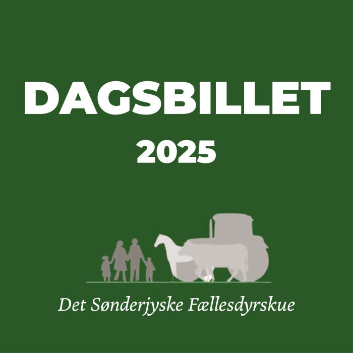 Dagsbillet - 2025