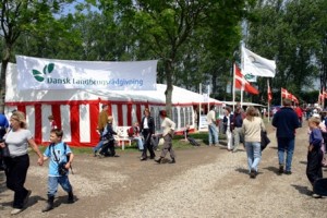 dyrskue05-0169