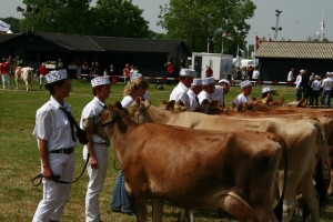 dyrskue2008_055