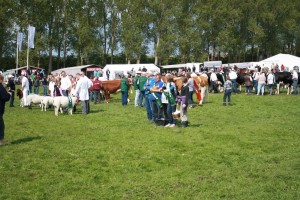 Dyrskue 2010 053