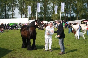 Dyrskue 2010 055
