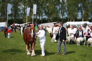 Dyrskue 2010 058