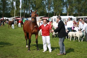 Dyrskue 2010 059