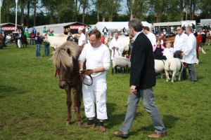 Dyrskue 2010 071