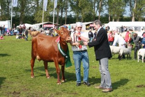 Dyrskue 2010 078