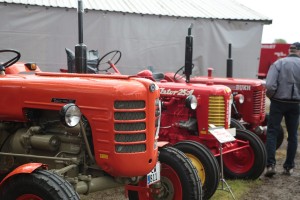CL9A0376